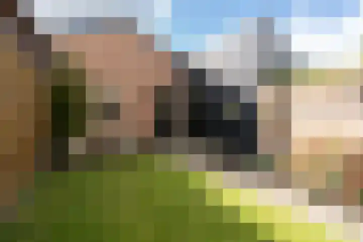 Langendijk 47 Vianen thumbnail 56