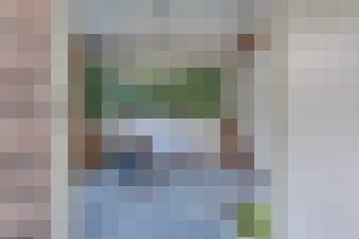 Langendijk 47 Vianen thumbnail 65