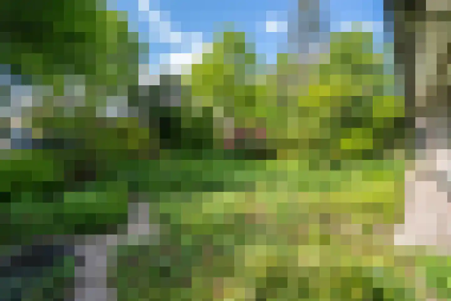 Langendijk 49 Tilburg thumbnail 7