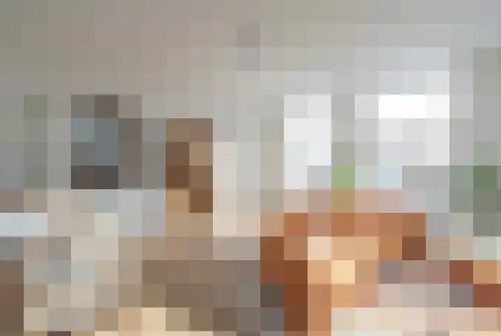 Langendijk 55 D Gorinchem