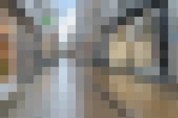 Langendijk 68 b Gorinchem thumbnail 19