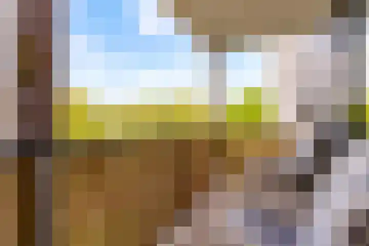 Langendijk 68 b Gorinchem foto 2