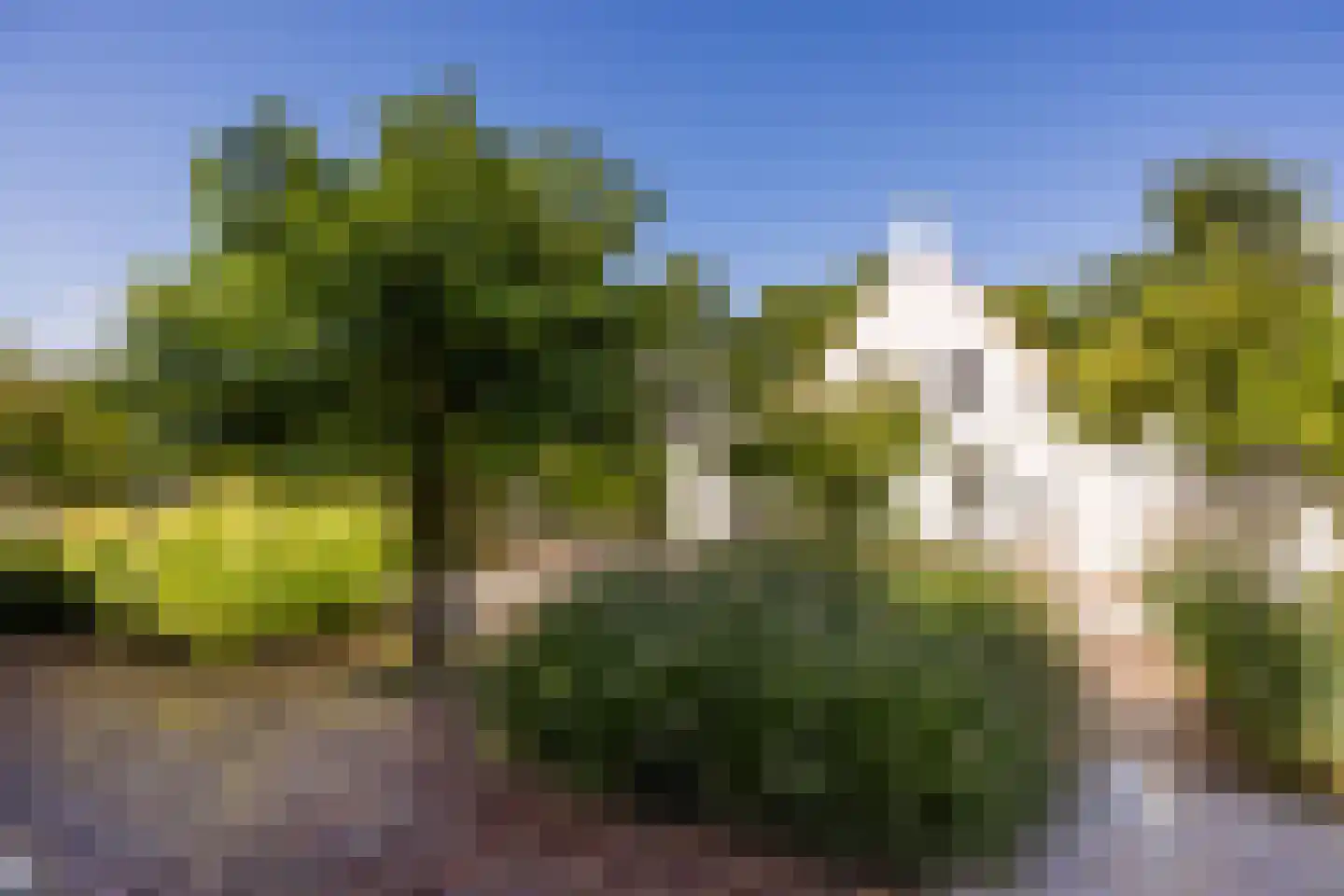Langendijk 76 Tilburg thumbnail 38