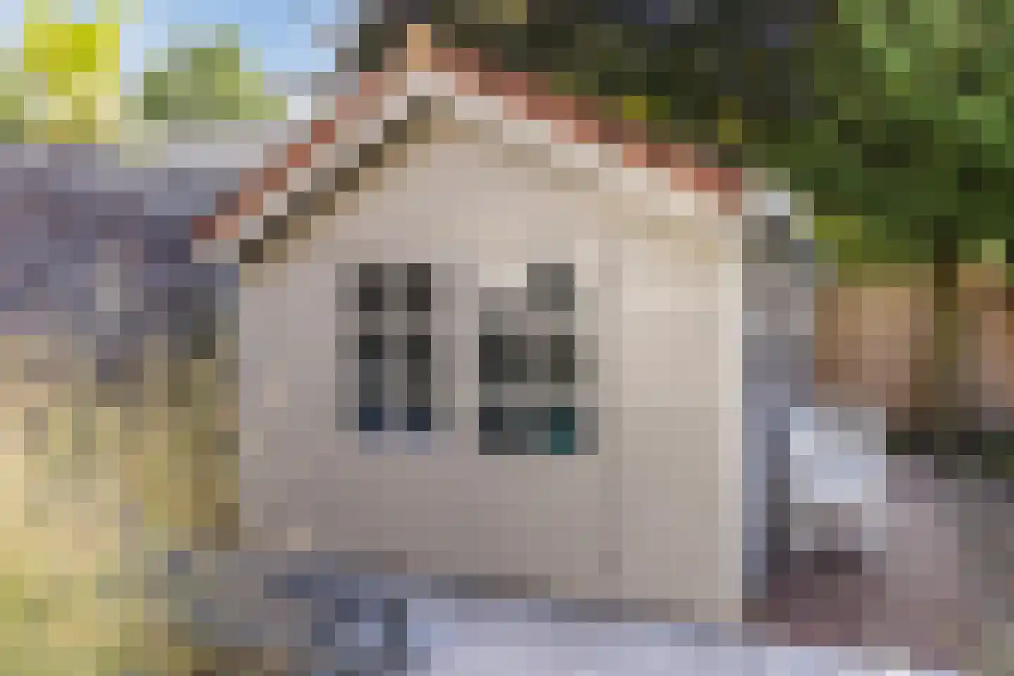 Langendijk 76 Tilburg thumbnail 48
