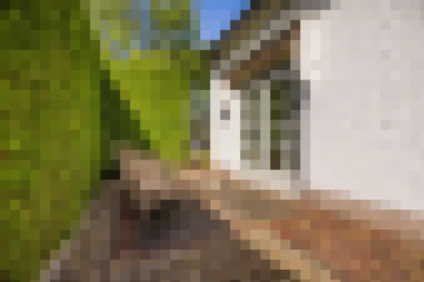 Langendijk 76 Tilburg thumbnail 53