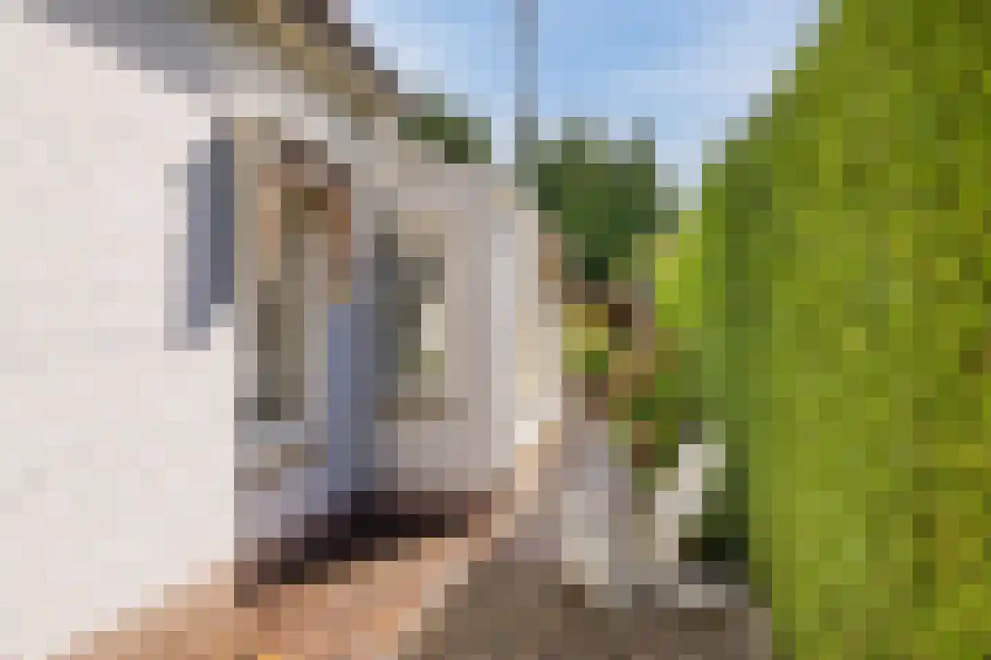 Langendijk 76 Tilburg thumbnail 54