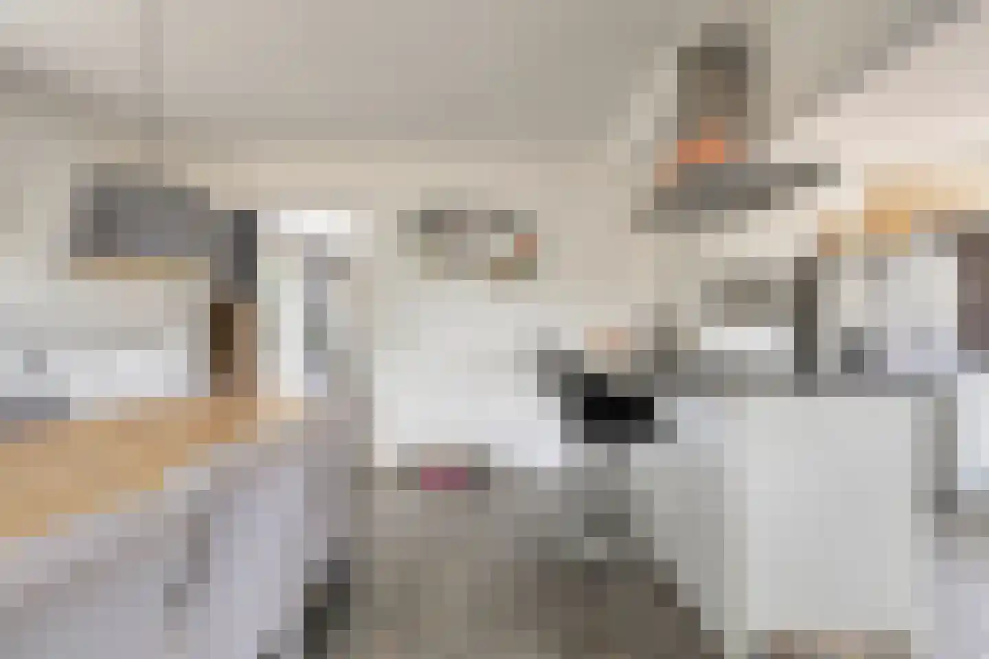 Langendijk 8 Baak thumbnail 17