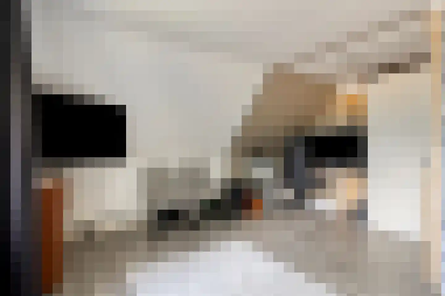 Langendijk 8 Baak thumbnail 30