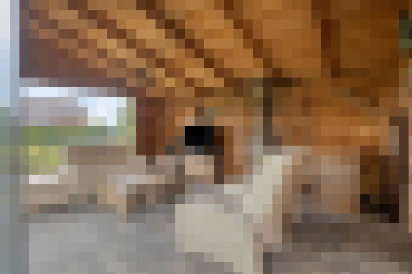 Langendijk 8 Baak thumbnail 40