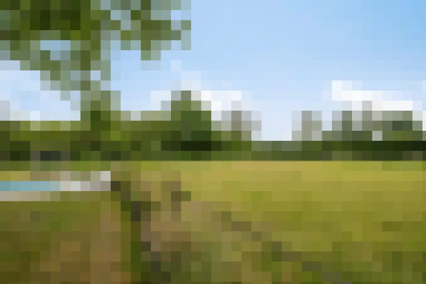 Langendijk 8 Baak thumbnail 43