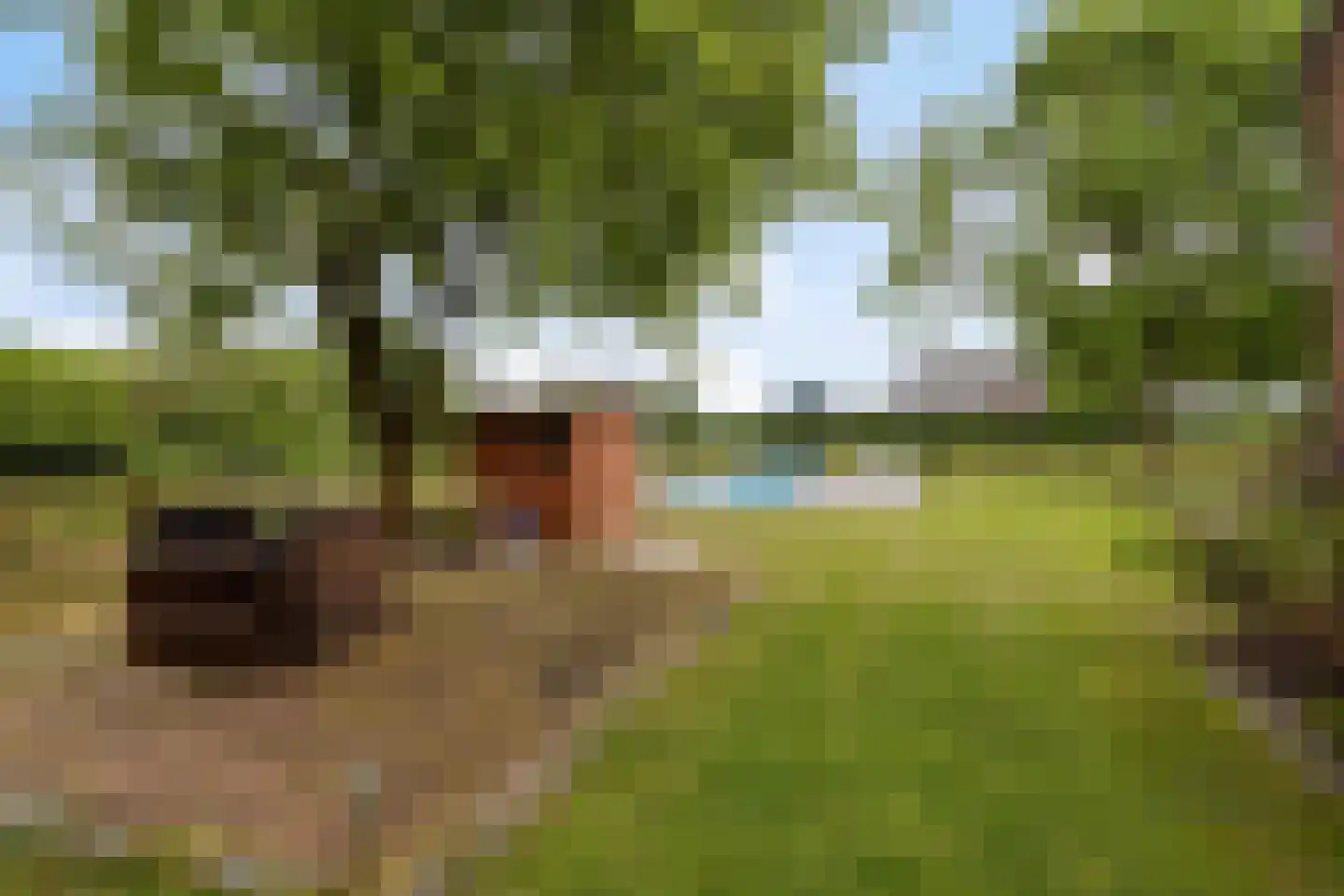 Langendijk 8 Baak thumbnail 44