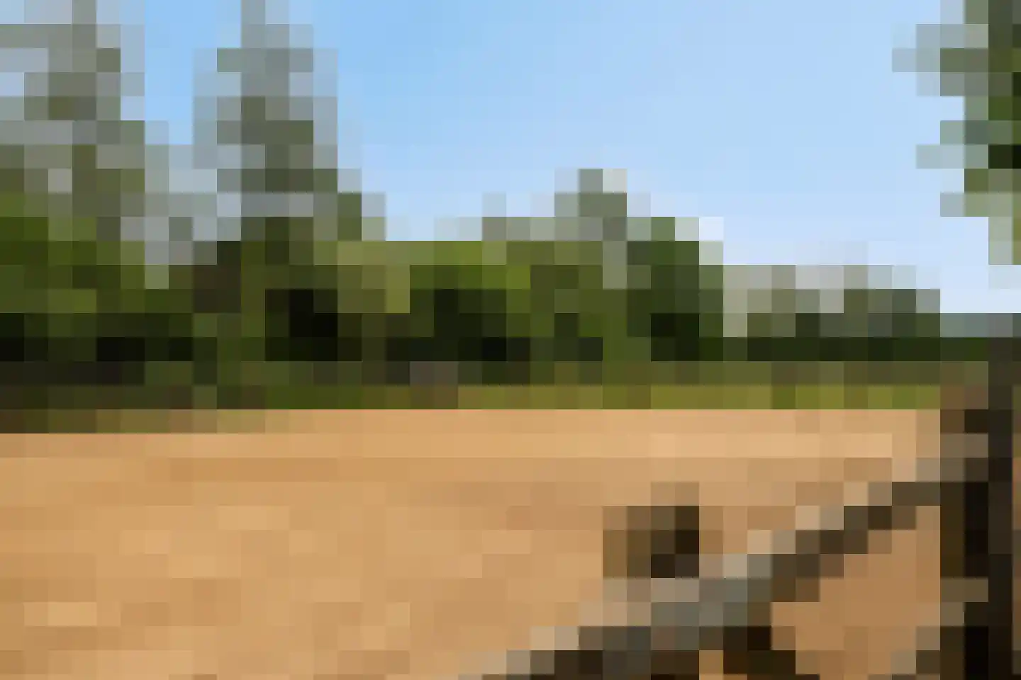 Langendijk 8 Baak thumbnail 46