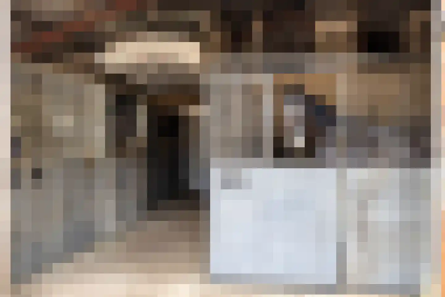 Langendijk 8 Baak thumbnail 48
