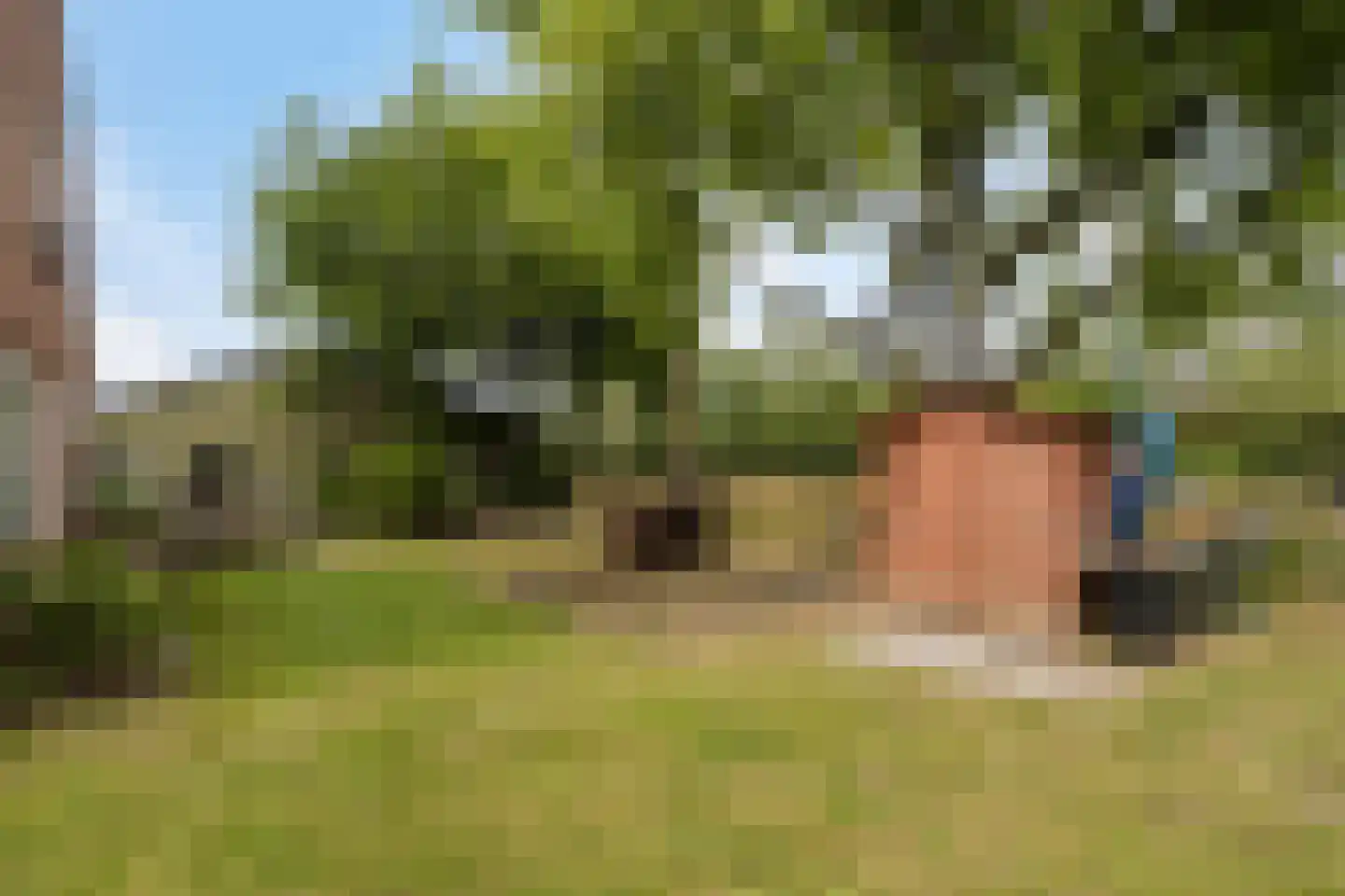 Langendijk 8 Baak thumbnail 49