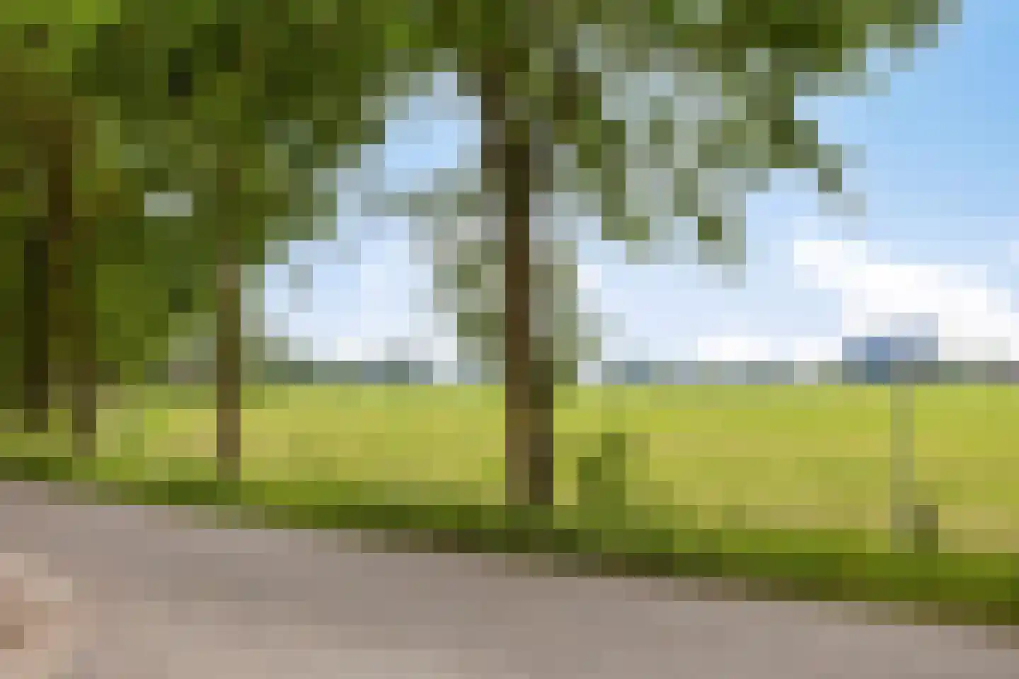 Langendijk 8 Baak thumbnail 51
