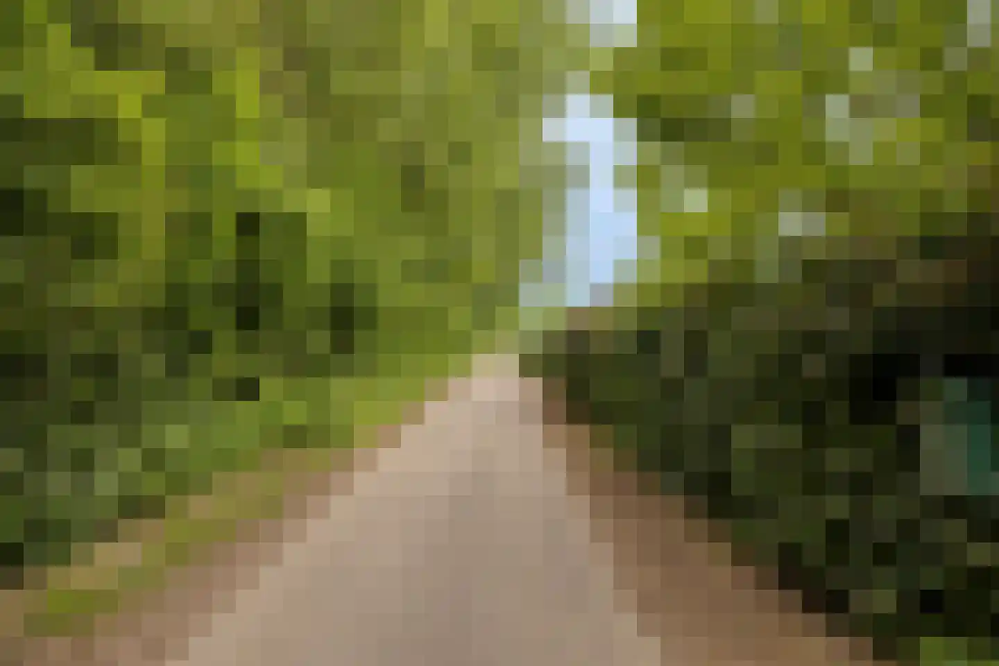 Langendijk 8 Baak thumbnail 53