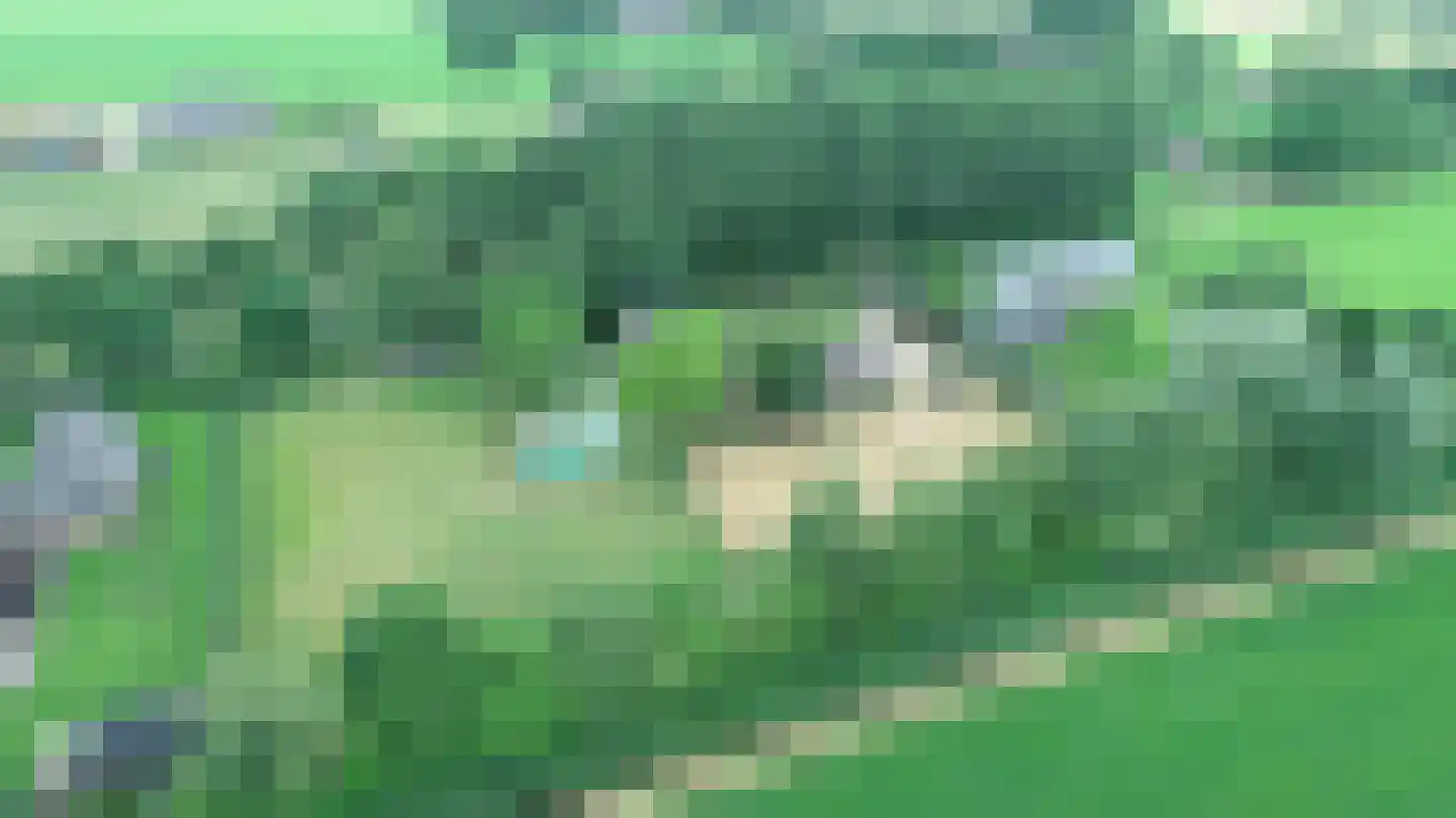Langendijk 8 Baak thumbnail 56