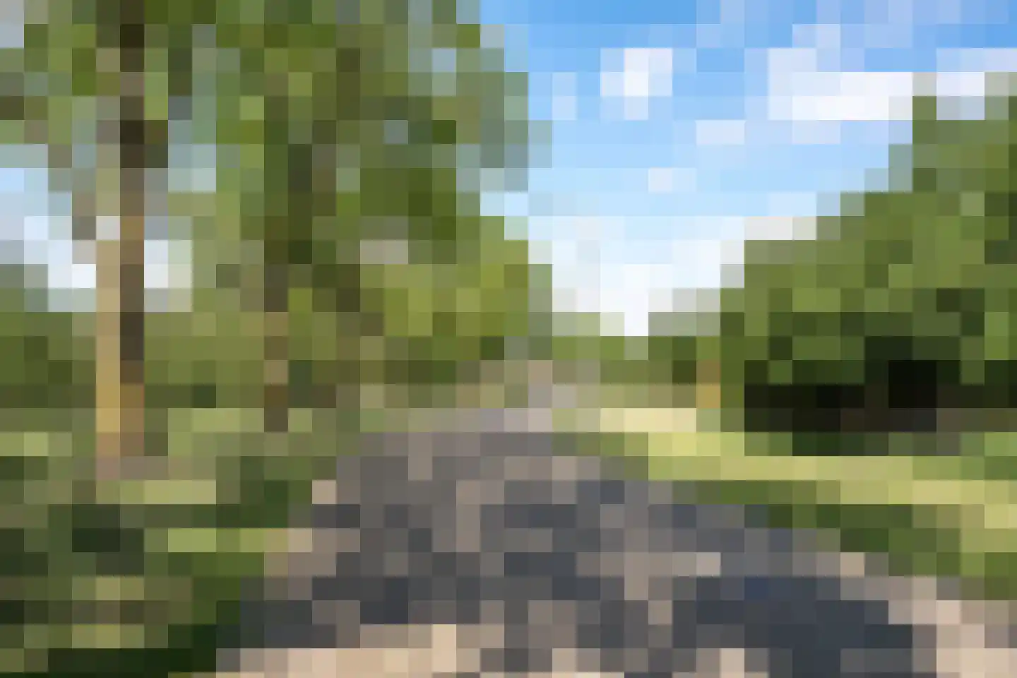 Langendijk 81 Tilburg thumbnail 34