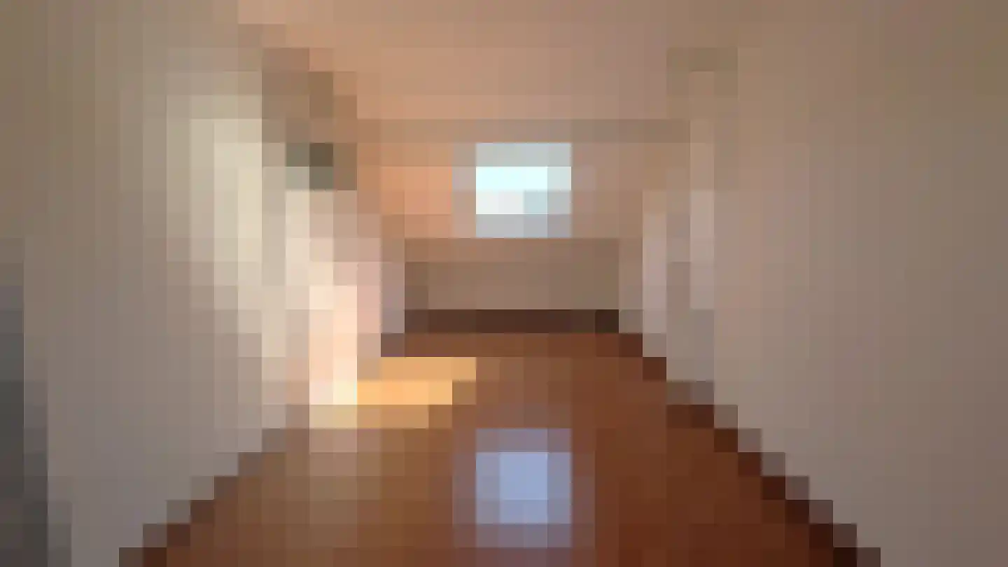 Langendijkdreef 17 Leiderdorp thumbnail 27