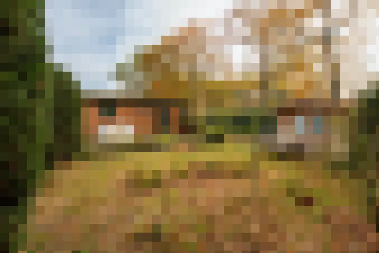 Langendijksestraat 15 Rucphen thumbnail 15