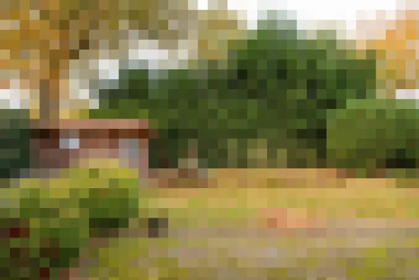 Langendijksestraat 15 Rucphen thumbnail 16