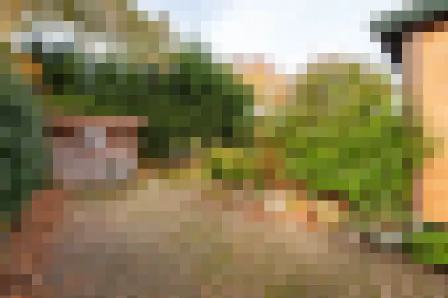 Langendijksestraat 15 Rucphen thumbnail 17