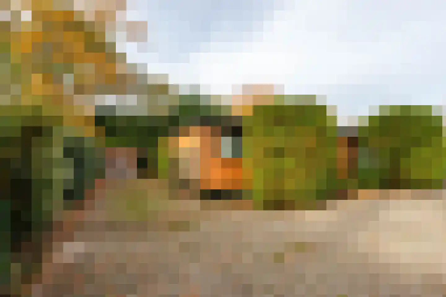 Langendijksestraat 15 Rucphen thumbnail 18