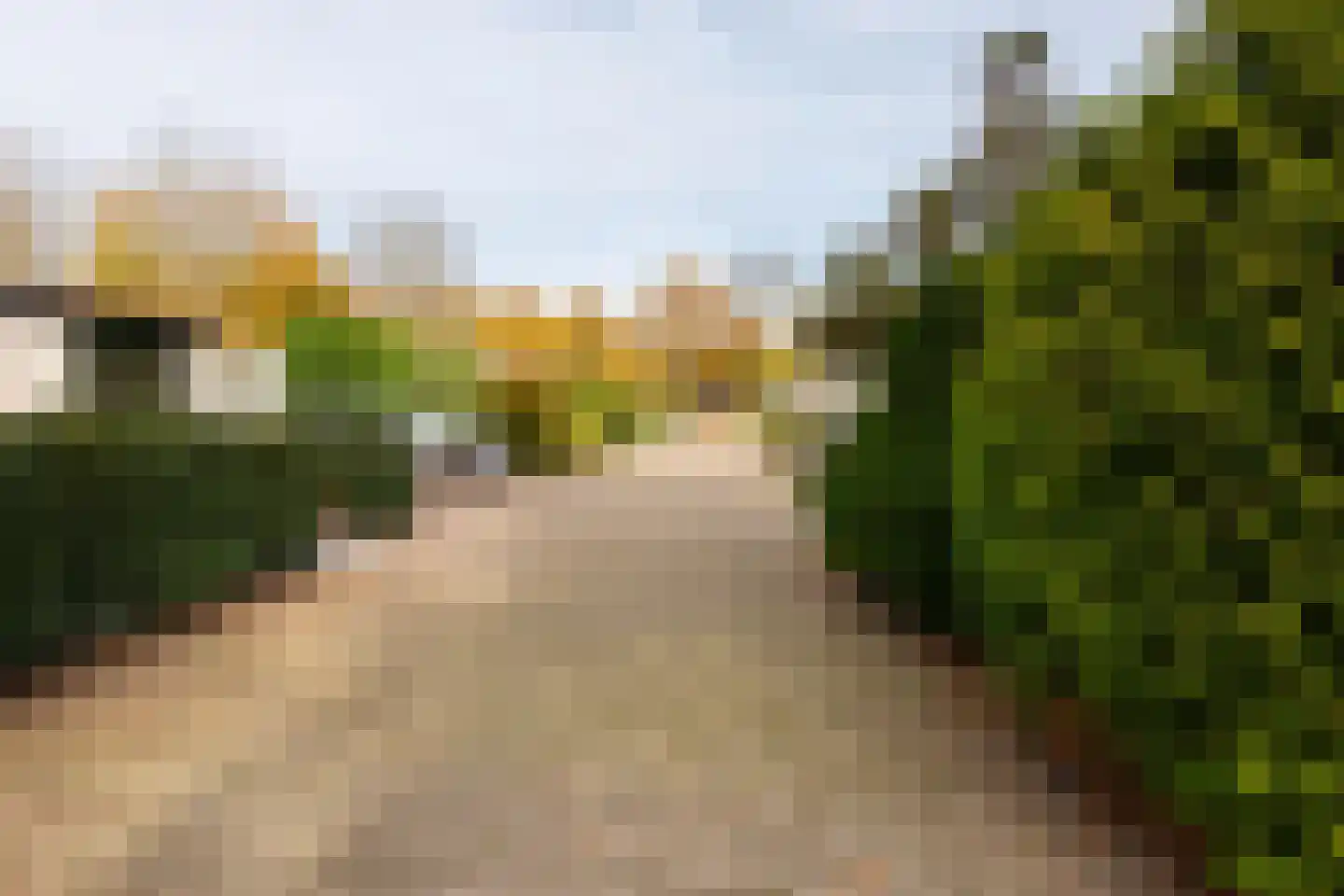Langendijksestraat 15 Rucphen thumbnail 21
