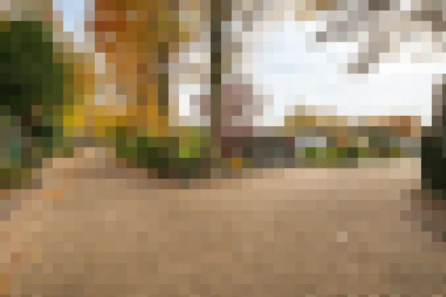 Langendijksestraat 15 Rucphen thumbnail 24