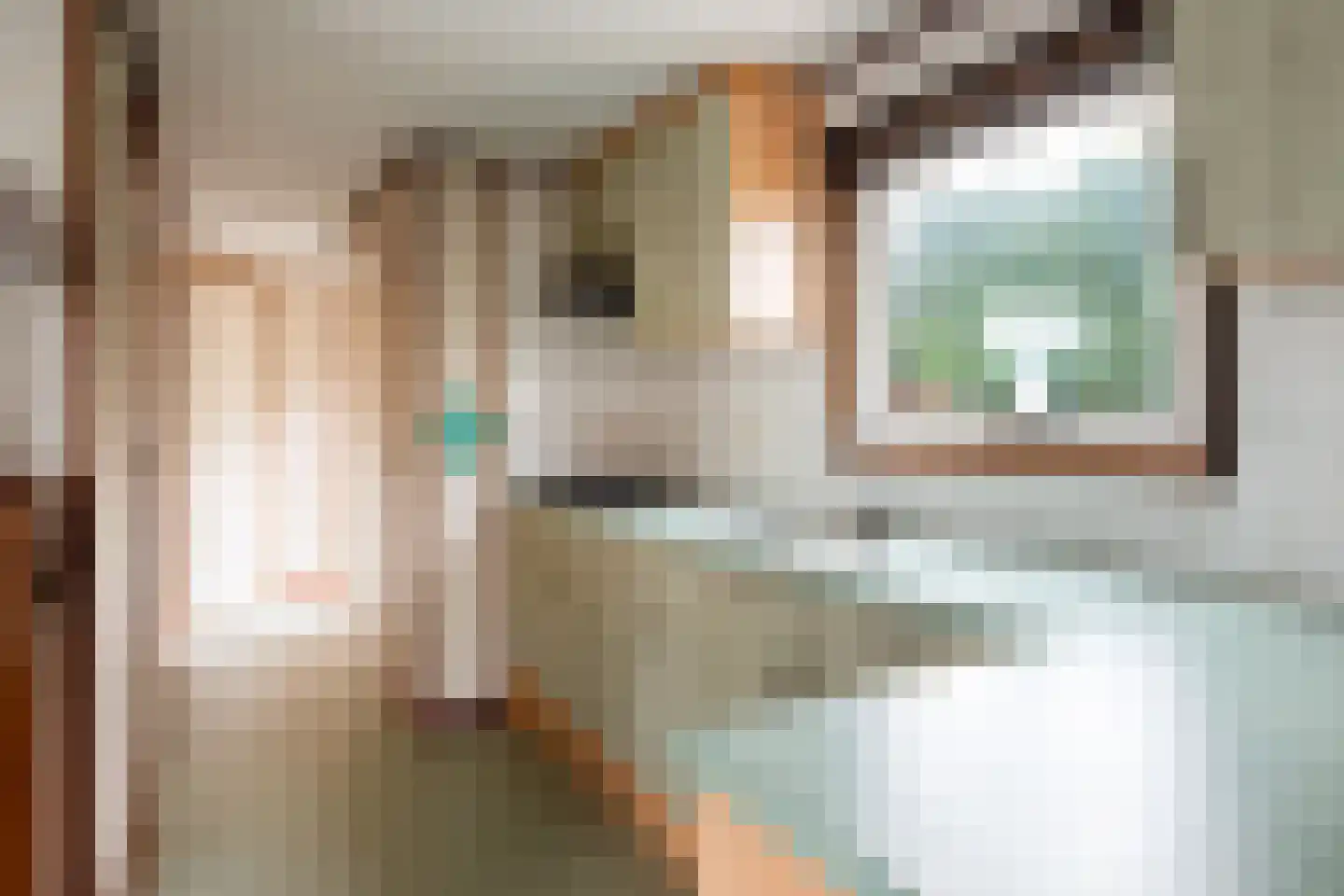 Langendijksestraat 15 Rucphen thumbnail 8