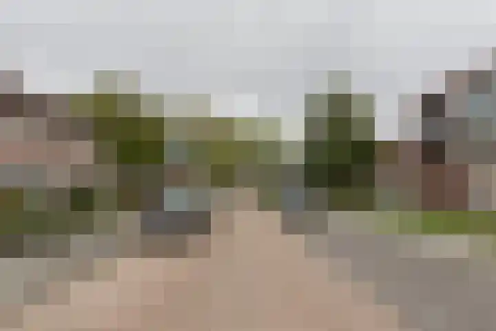Langendijkstraat 7 Kaatsheuvel thumbnail 6