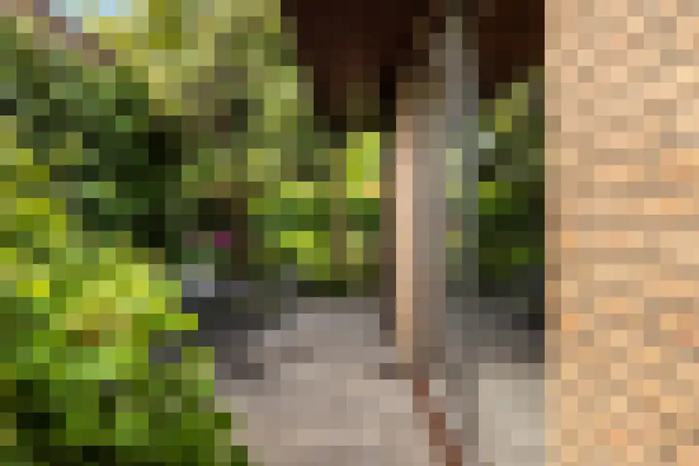 Langengriend 14 Hendrik-Ido-Ambacht thumbnail 19