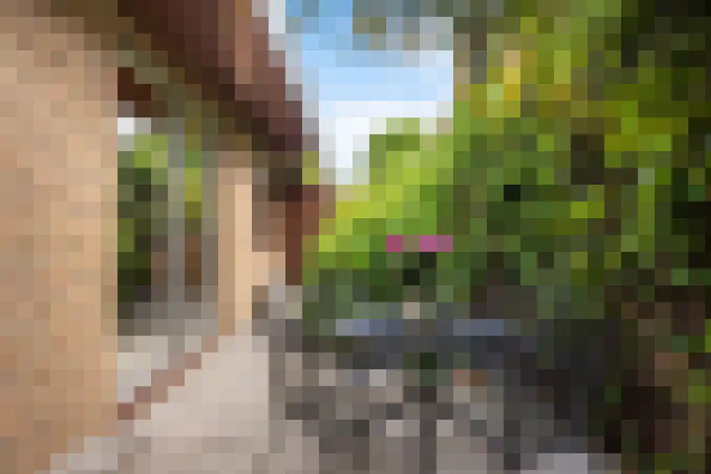 Langengriend 14 Hendrik-Ido-Ambacht thumbnail 22