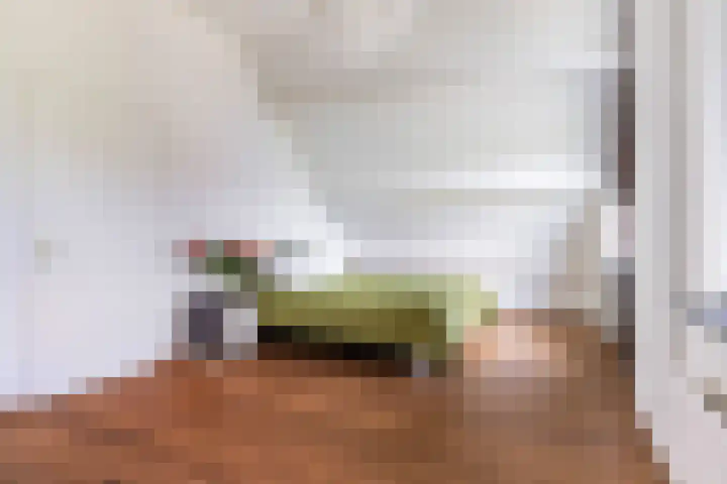Langengriend 14 Hendrik-Ido-Ambacht thumbnail 32