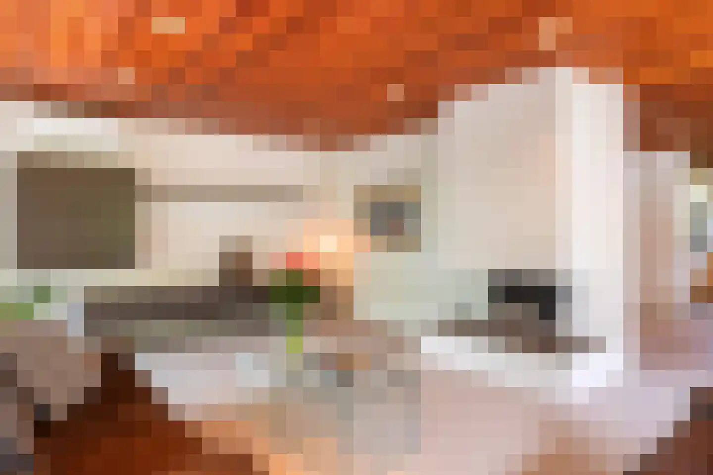 Langengriend 14 Hendrik-Ido-Ambacht thumbnail 6
