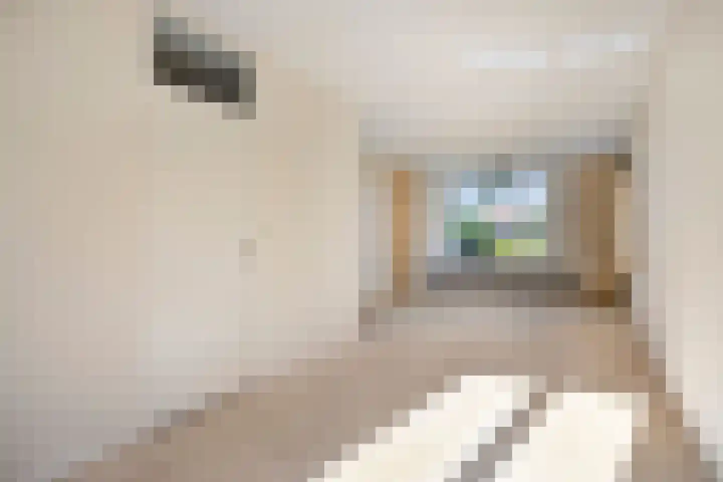 Langenhof 12 Andel thumbnail 16