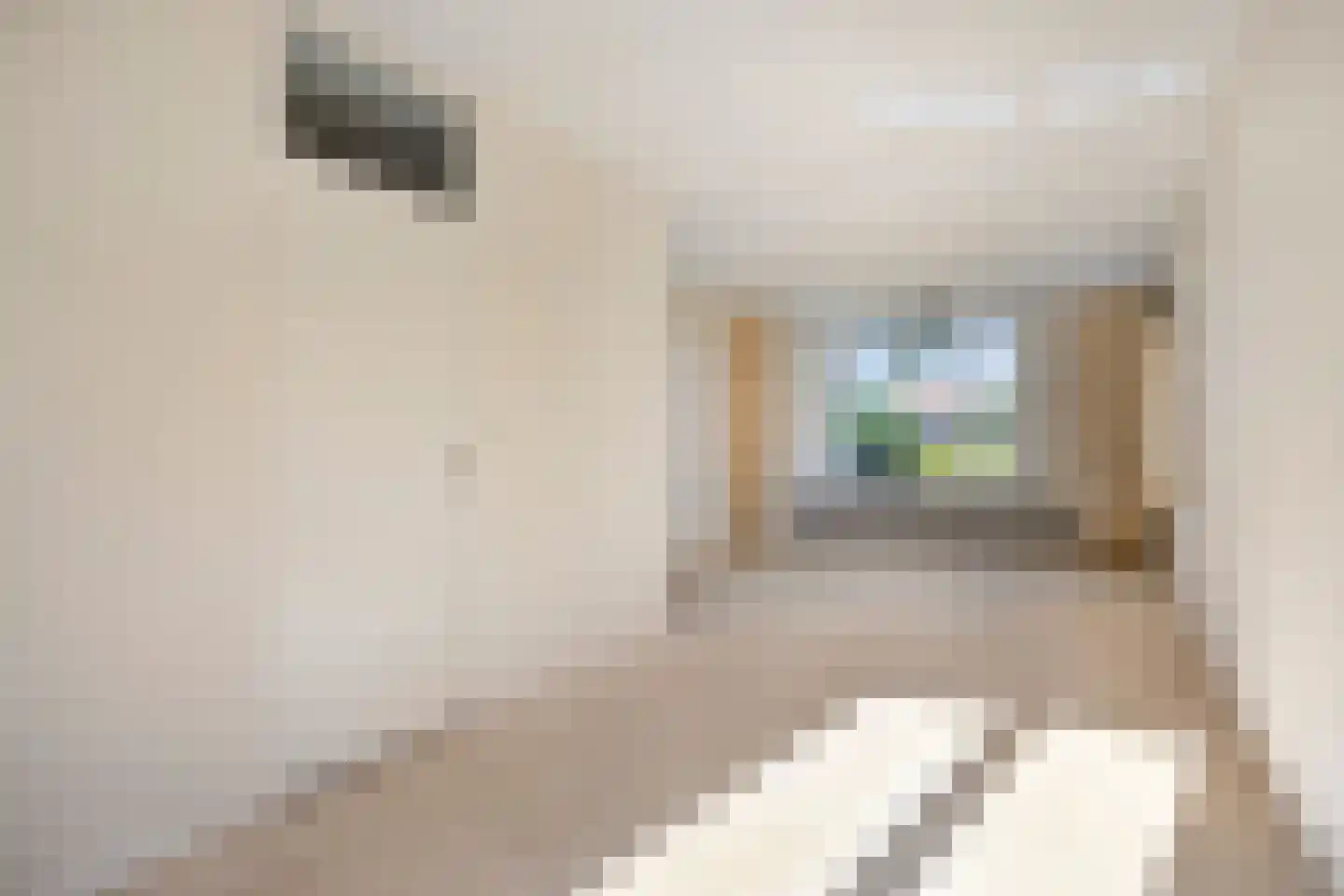 Langenhof 12 Andel thumbnail 4