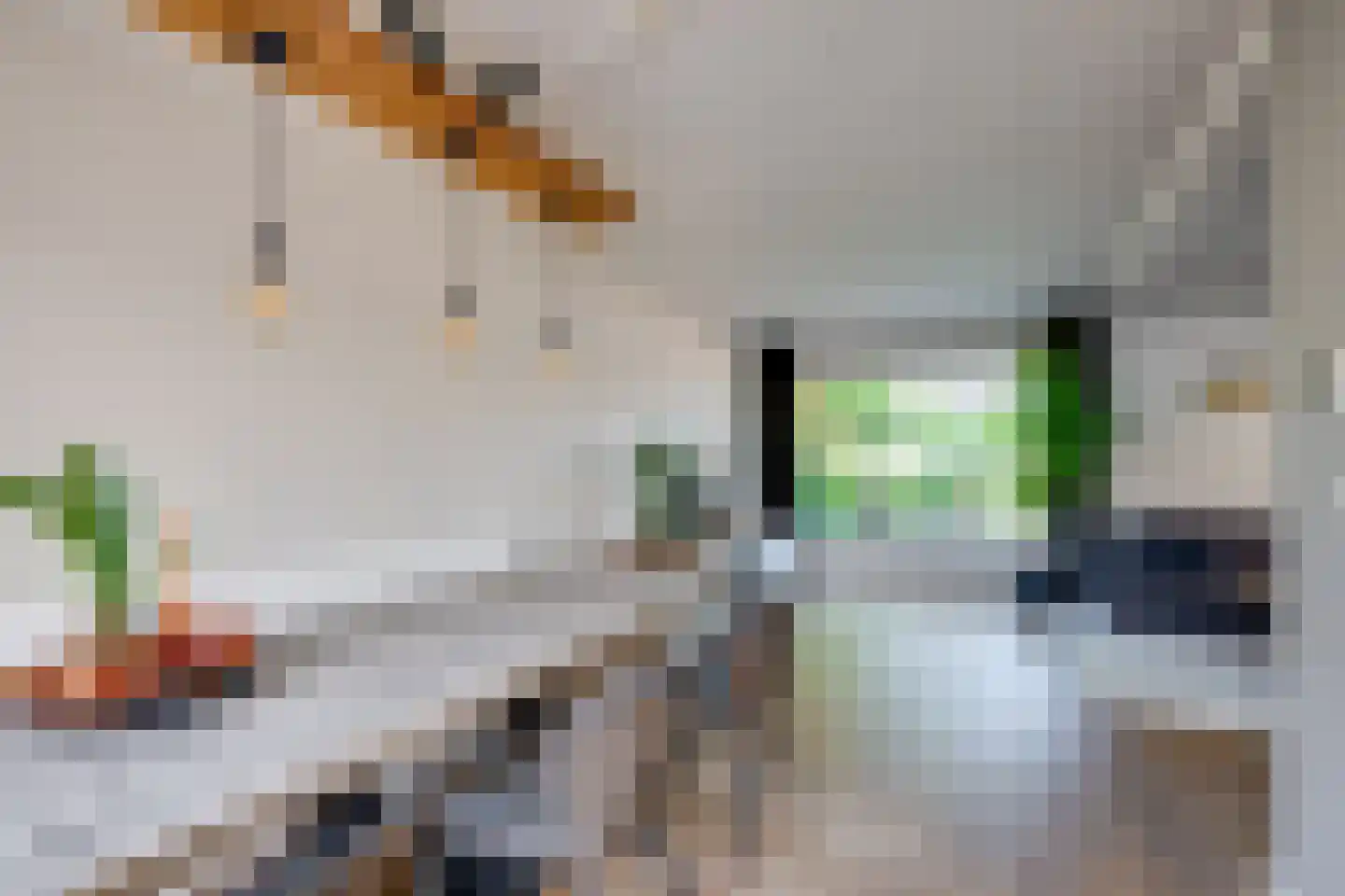 Langenhof 15 Udenhout thumbnail 13