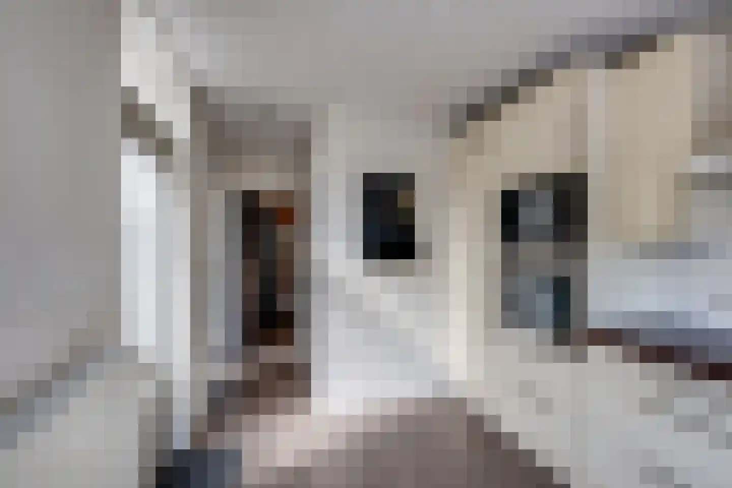 Langenhof 15 Udenhout thumbnail 23