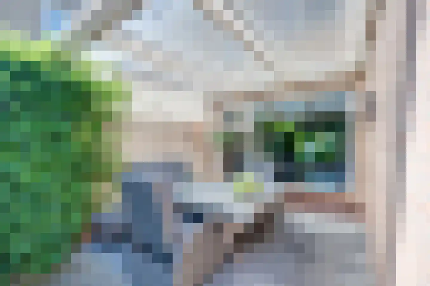 Langenhof 15 Udenhout thumbnail 48