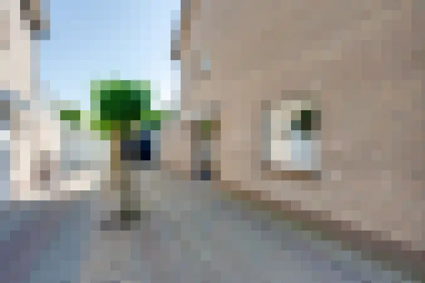 Langenhof 15 Udenhout thumbnail 7