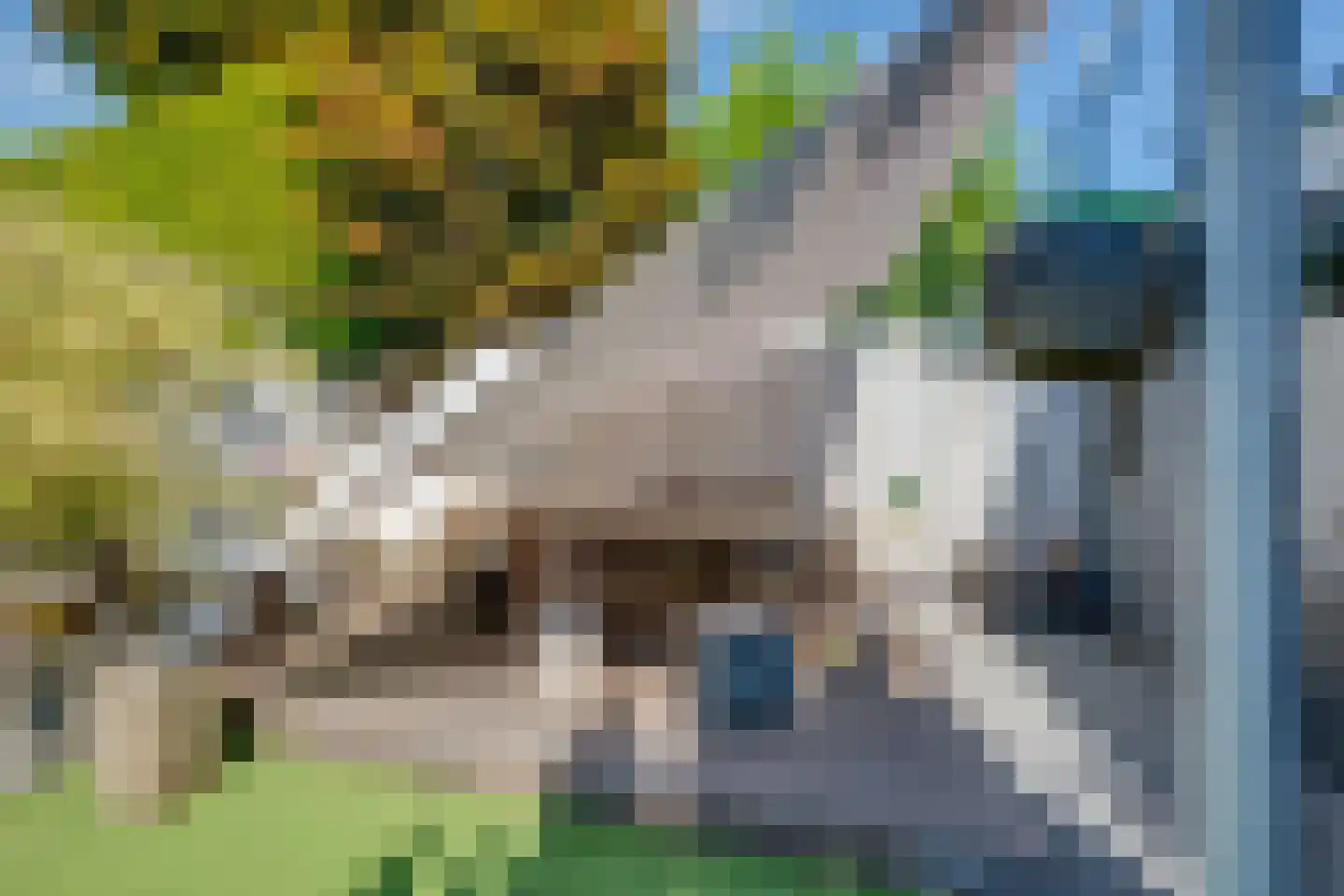 Langenhof 21 Udenhout thumbnail 25