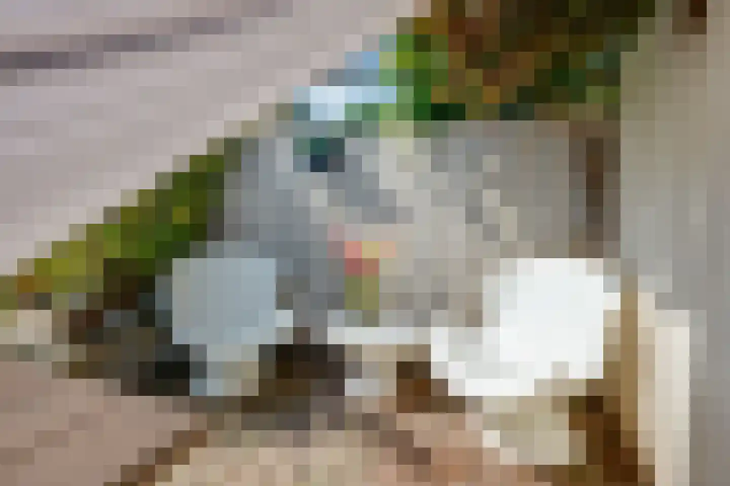 Langenhof 21 Udenhout thumbnail 26