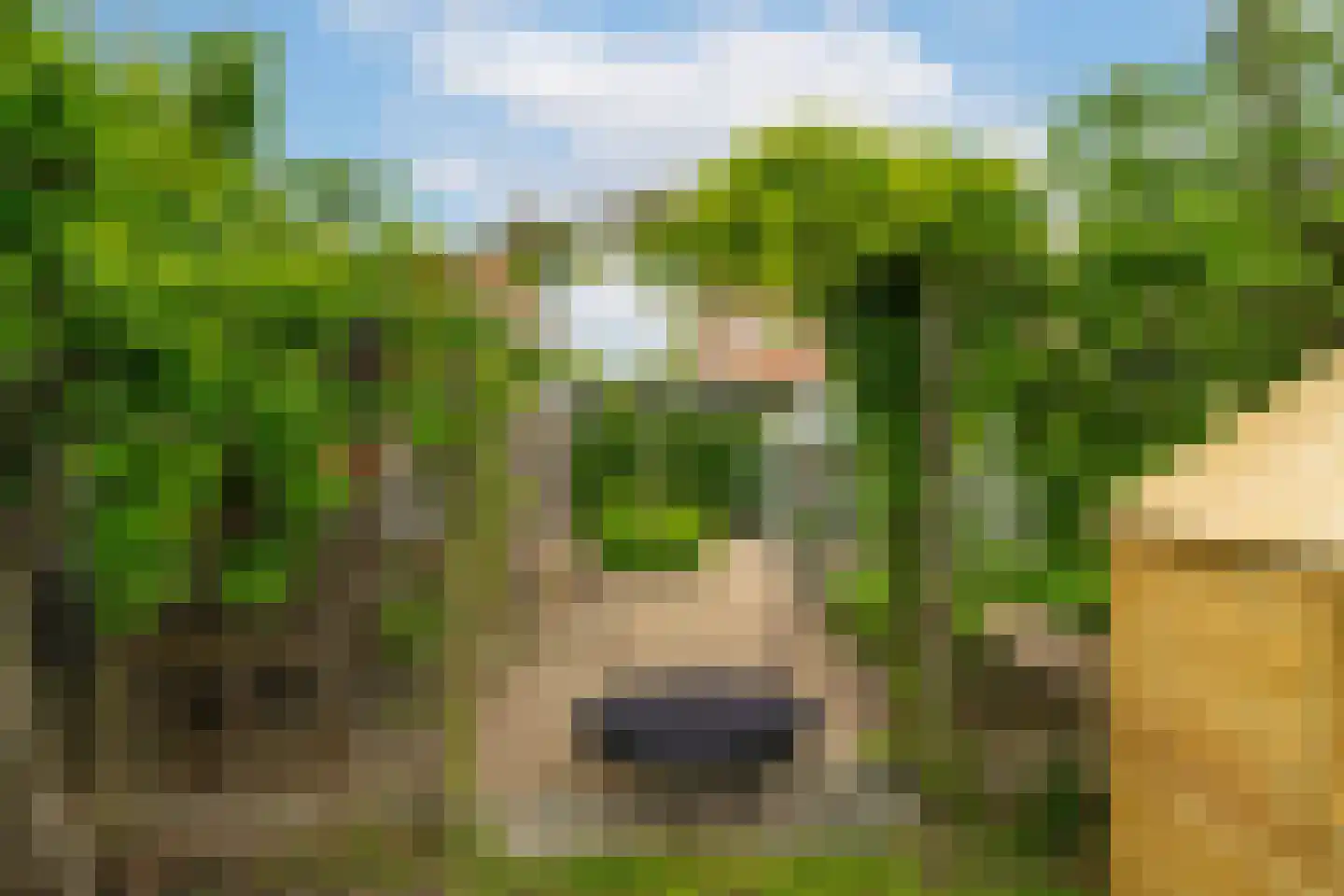 Langenhof 23 Andel thumbnail 33