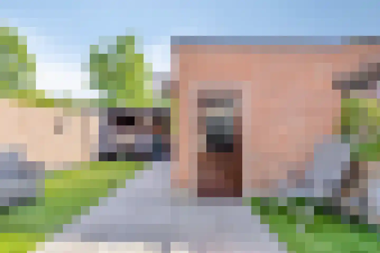 Langenhof 25 Oosterhout thumbnail 20