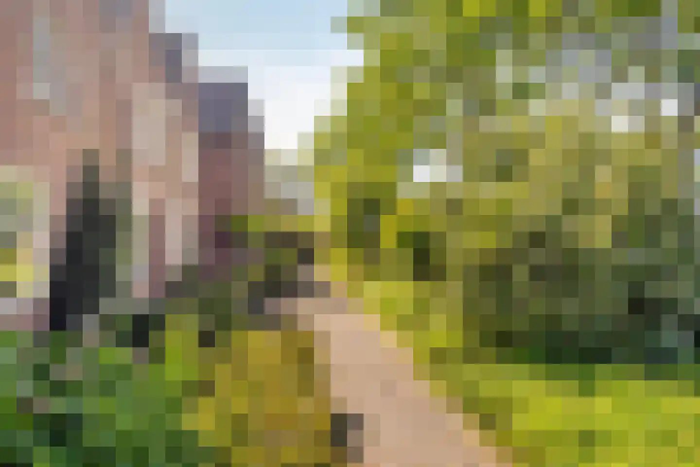 Langenhof 25 Oosterhout thumbnail 27