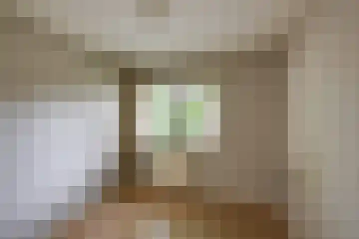 Langenhof 36 Udenhout thumbnail 22
