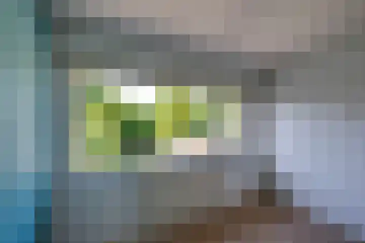 Langenhof 36 Udenhout thumbnail 25