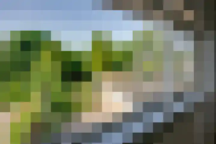 Langenhof 36 Udenhout thumbnail 29