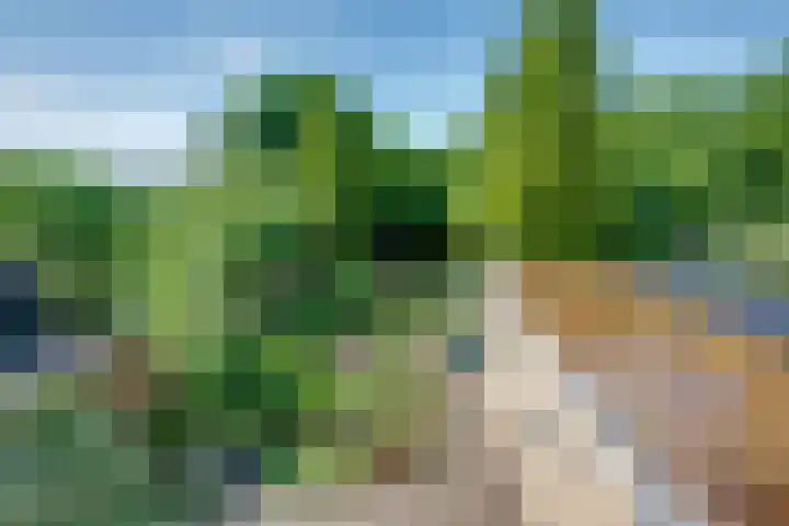 Langenhof 36 Udenhout thumbnail 30